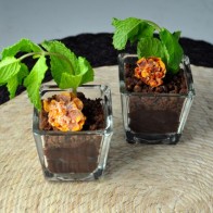 Mint Chocolate Pudding Pots